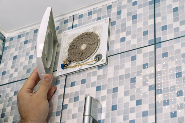 Best Air Vent Cleaning Services  in Darmstadt, IN