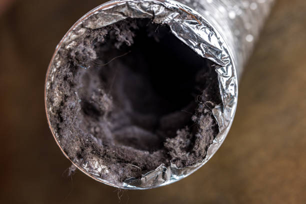 Best HVAC Duct Inspection Services  in Darmstadt, IN